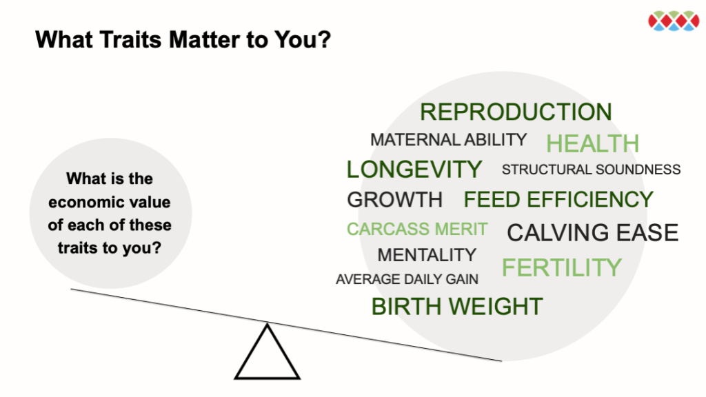 A scale visual with the left side reading "What is the economic value of each of these traits to you?" and the right showing the many different traits to consider when selecting a bull such as growth, longevity, temperament and more.