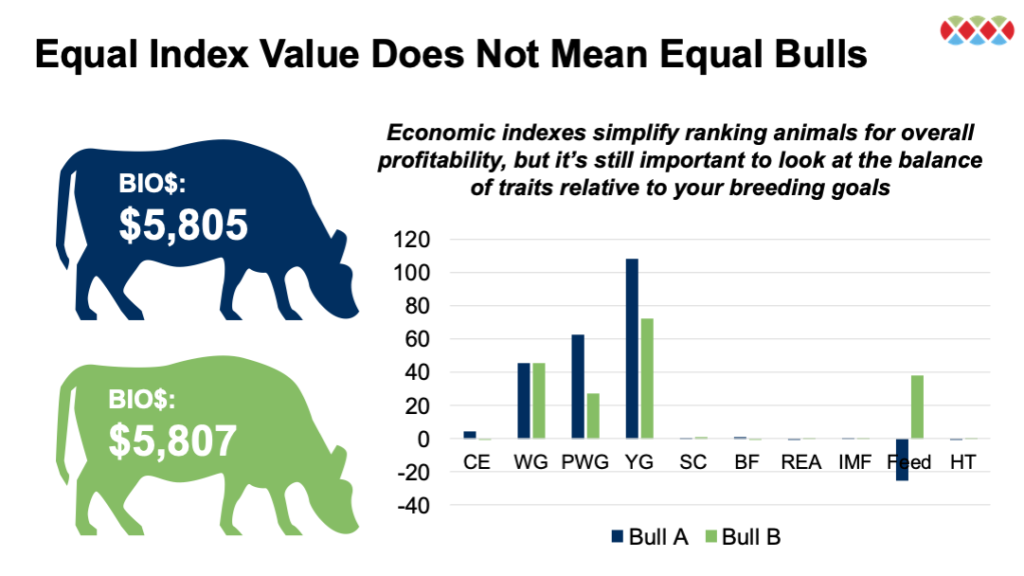A visualization of the genetic merit of two bulls, Bull A and Bull B with similar economic index values but a different balance of genetic merit for individual traits.