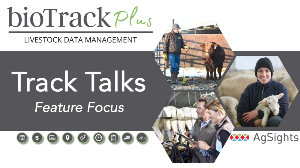 This is a cover photo for Track Talks webinars.