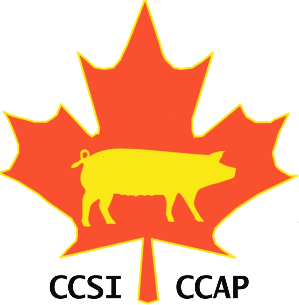 CCSI logo.